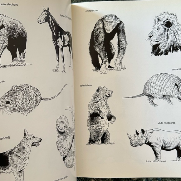 Bundle of Clip Art Books (4) - Picture 12 of 15